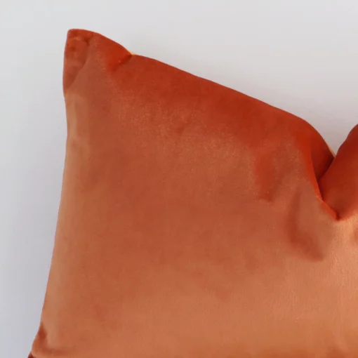 Extreme close up of a rectangle burnt orange cushion. The solid-coloured style and velvet fabric are shown with a much higher degree of detail.